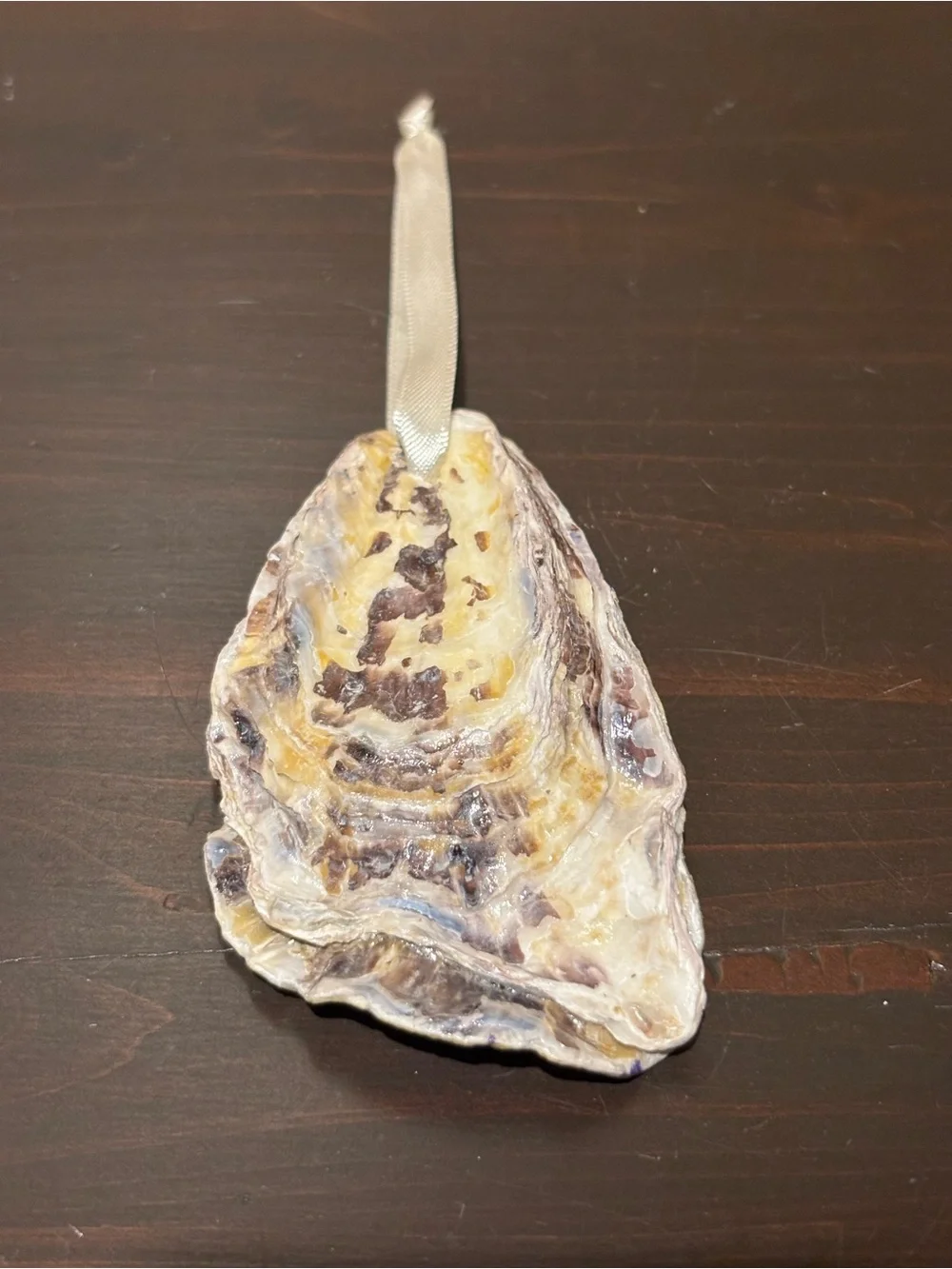 Handmade champagne decoupage shell ornament